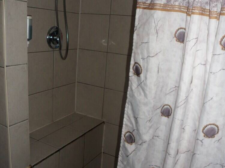 The Silver Birch Motel