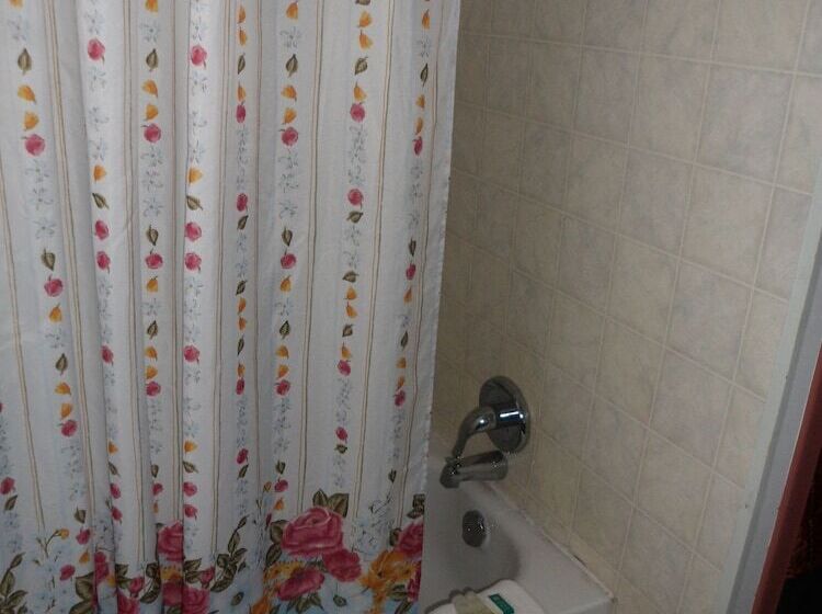 The Silver Birch Motel