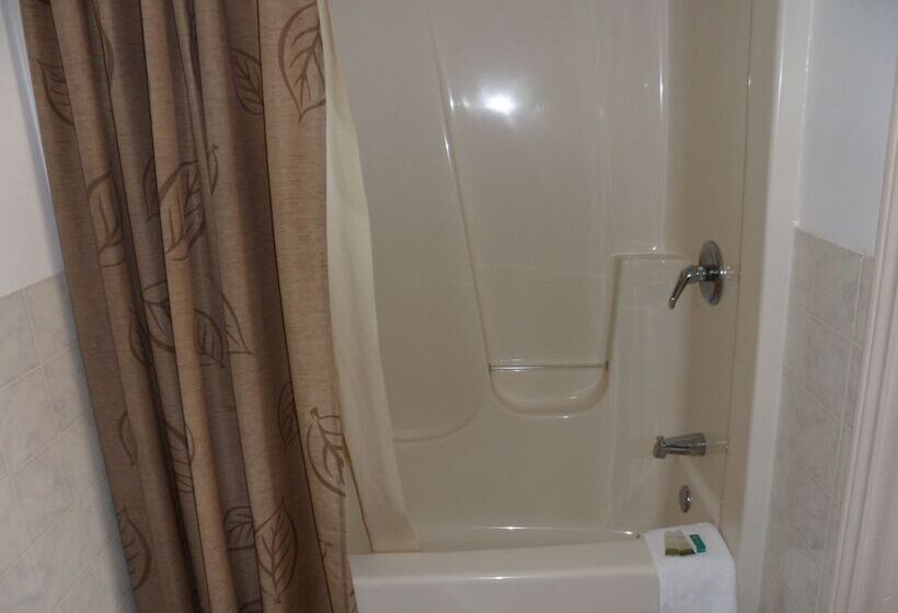 The Silver Birch Motel