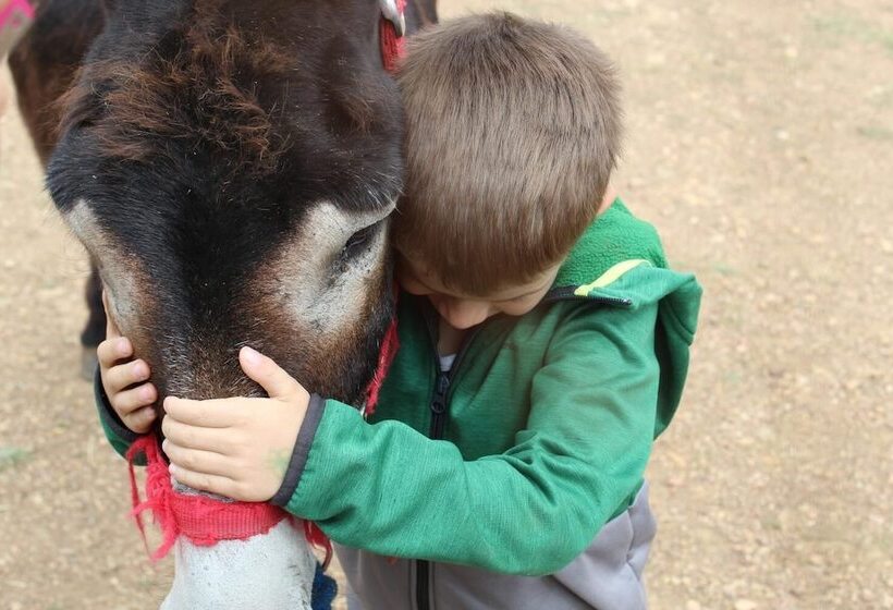 فندق صغير Casa El Tío Carrascón Alojamiento Rural