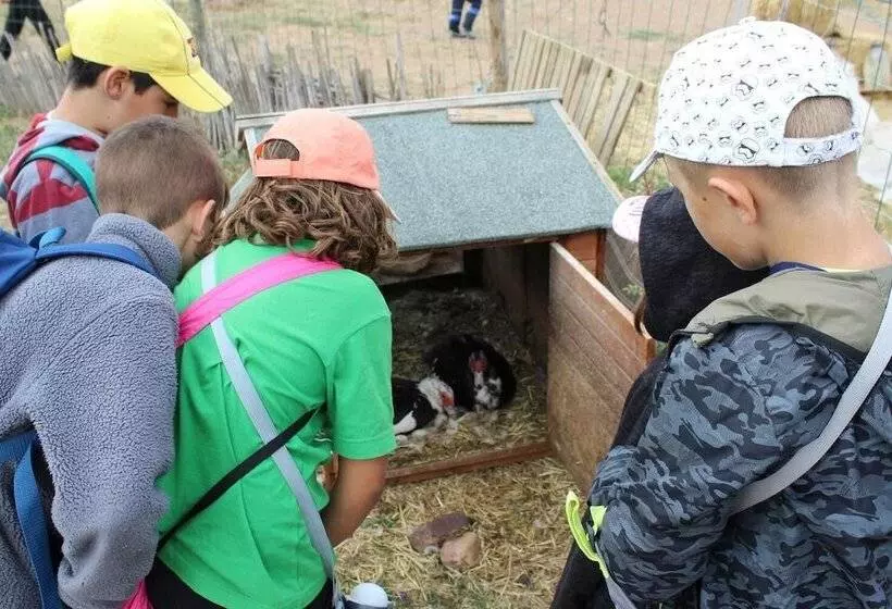 ユースホステル Casa El Tío Carrascón Alojamiento Rural