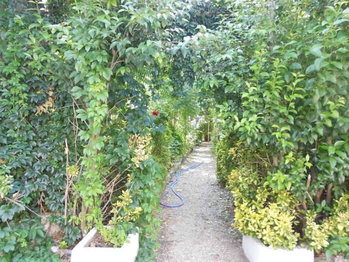 هاستل La Mesnadita