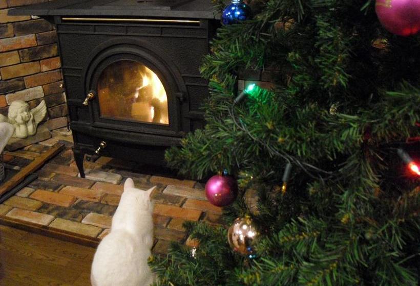 צימר Natural House Pure 21