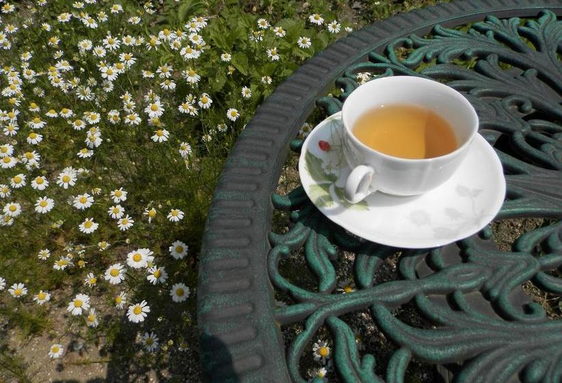 צימר Natural House Pure 21