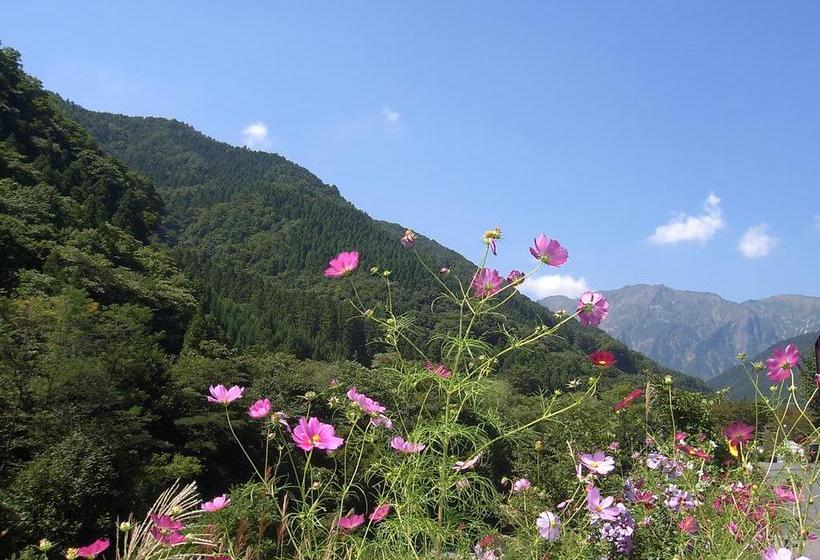 צימר Natural House Pure 21