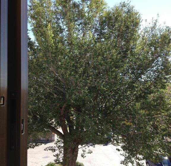 فندق El Colorín