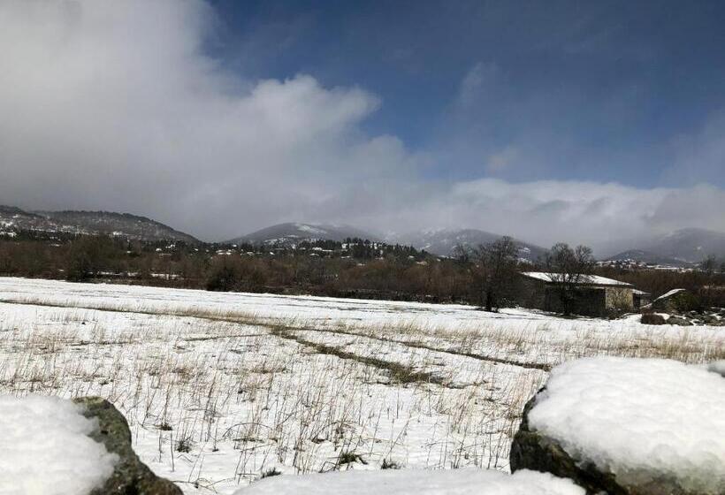 فندق El Colorín