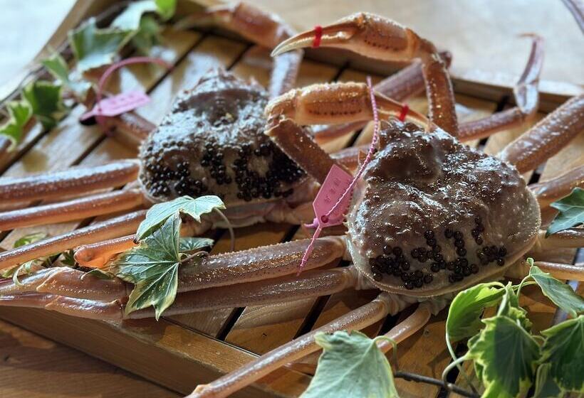 בית מלון כפרי Ginka