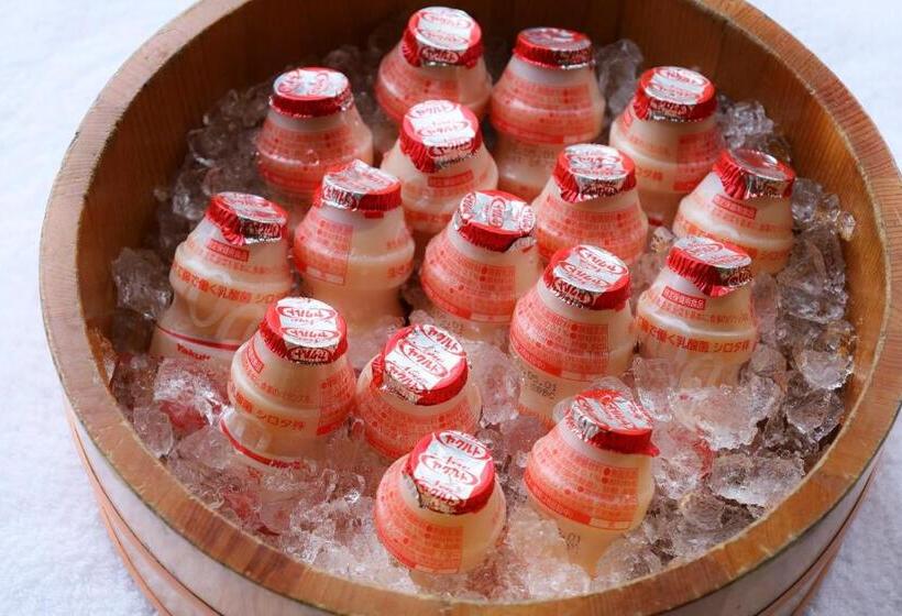 בית מלון כפרי Ginka