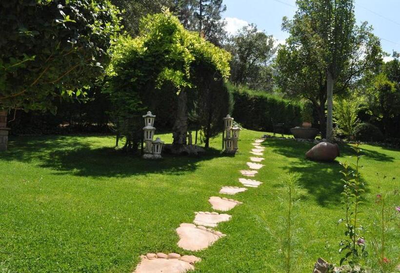 ホテル Los Nidos De Santa Maria