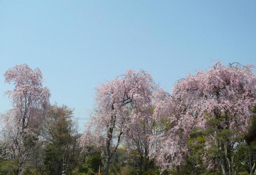 Nikko Suginamiki Youth Hostel
