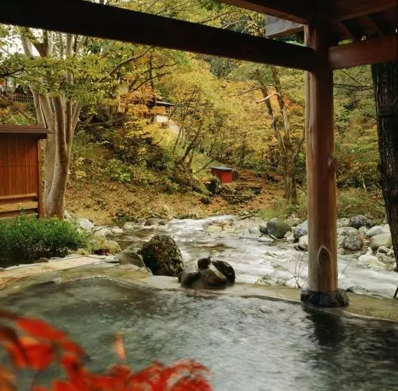 Ryokan Kinseikan Seseragi