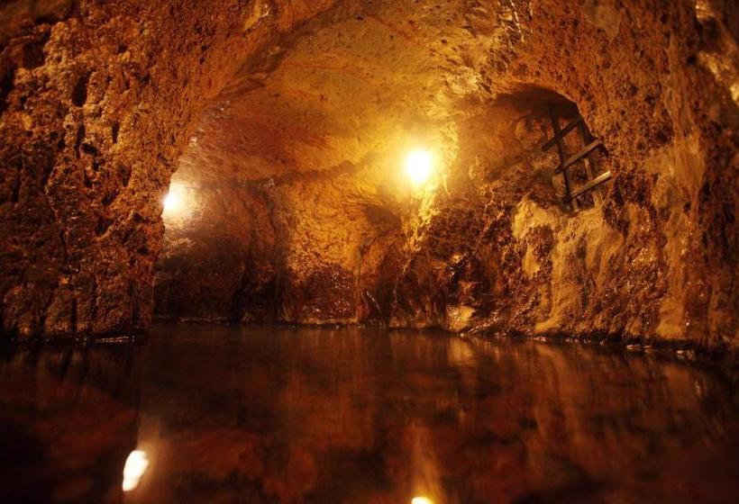 Ryokan Kurokawa Onsen Yama No Yado Shinmeikan