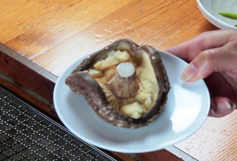 Ryokan Marunaka Lodge