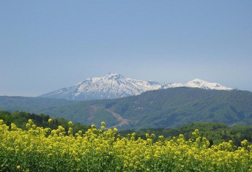 ריוקאן Marushige