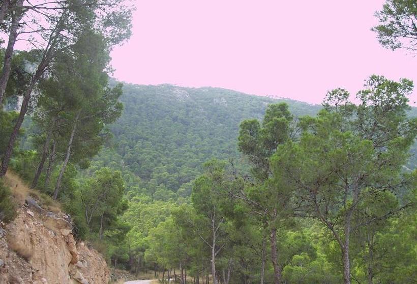 Общежитие Aljibe De Monastrell