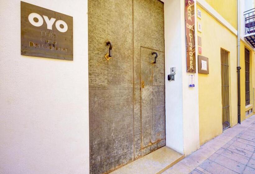 הוסטל Casa Del Cigroner