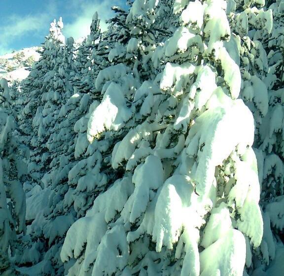 Albergue Pájaro Loco