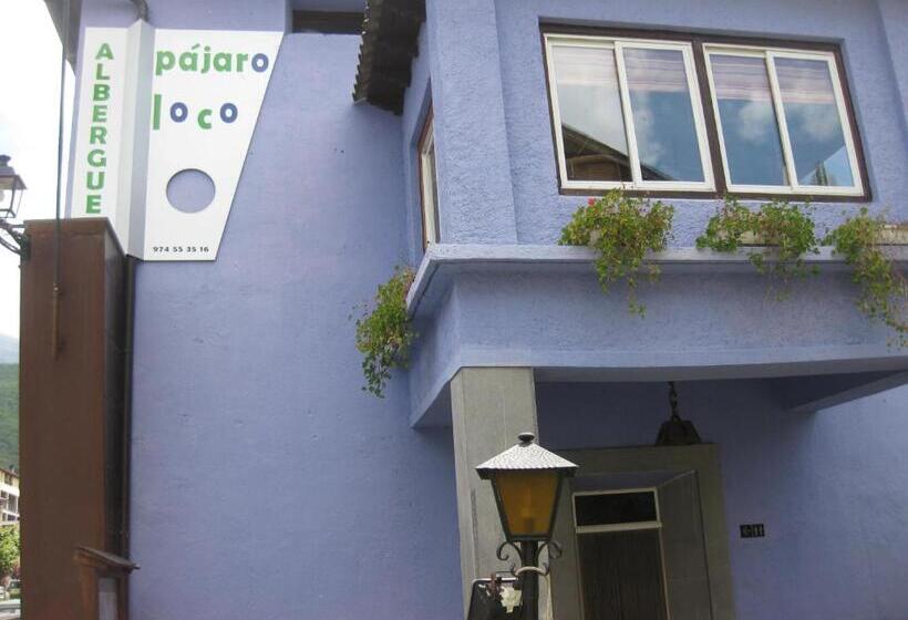 Albergue Pájaro Loco