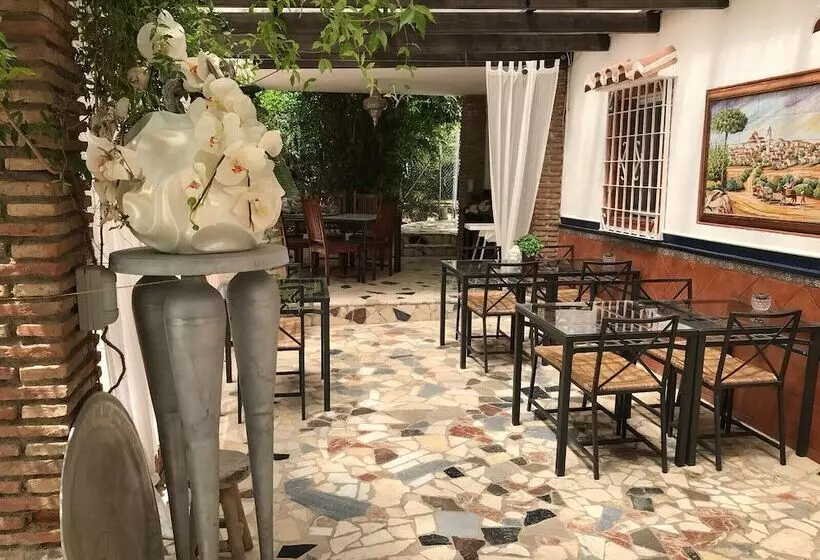B&b Cortijo Andaluz