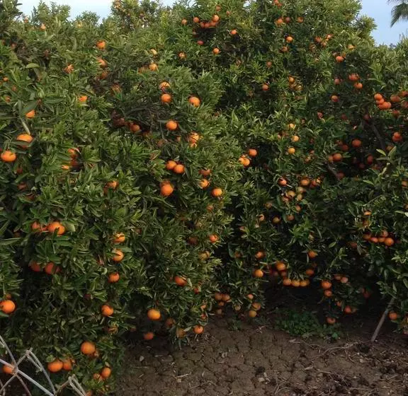 تختخواب و صبحانه Bed&breakfast Casa Beli