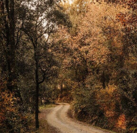 تختخواب و صبحانه Paratgea