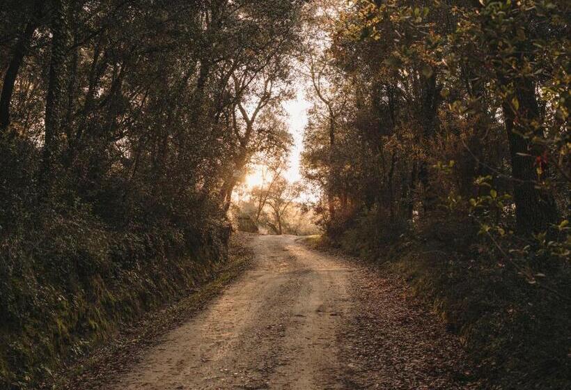 تختخواب و صبحانه Paratgea