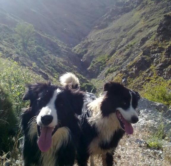 ベッドアンドブレックファースト Refugio Alpujarra Alta