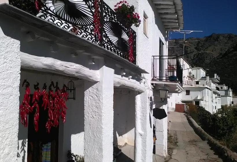 ベッドアンドブレックファースト Refugio Alpujarra Alta