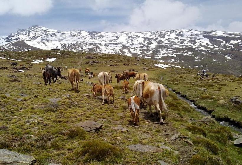 ベッドアンドブレックファースト Refugio Alpujarra Alta