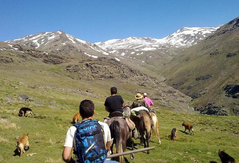 ベッドアンドブレックファースト Refugio Alpujarra Alta