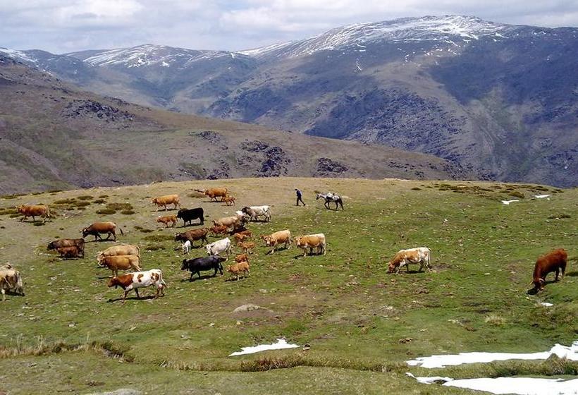 ベッドアンドブレックファースト Refugio Alpujarra Alta