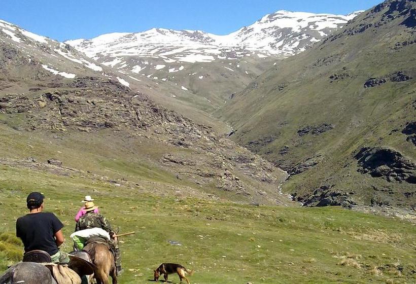 ベッドアンドブレックファースト Refugio Alpujarra Alta