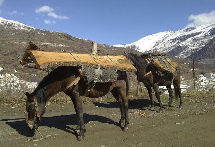 ベッドアンドブレックファースト Refugio Alpujarra Alta