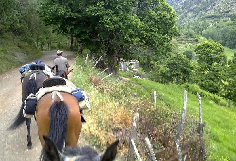 ベッドアンドブレックファースト Refugio Alpujarra Alta