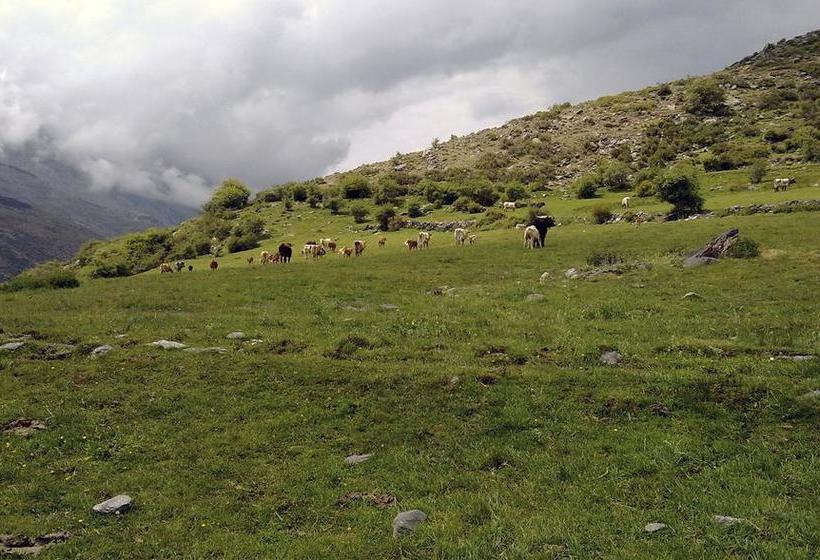 ベッドアンドブレックファースト Refugio Alpujarra Alta