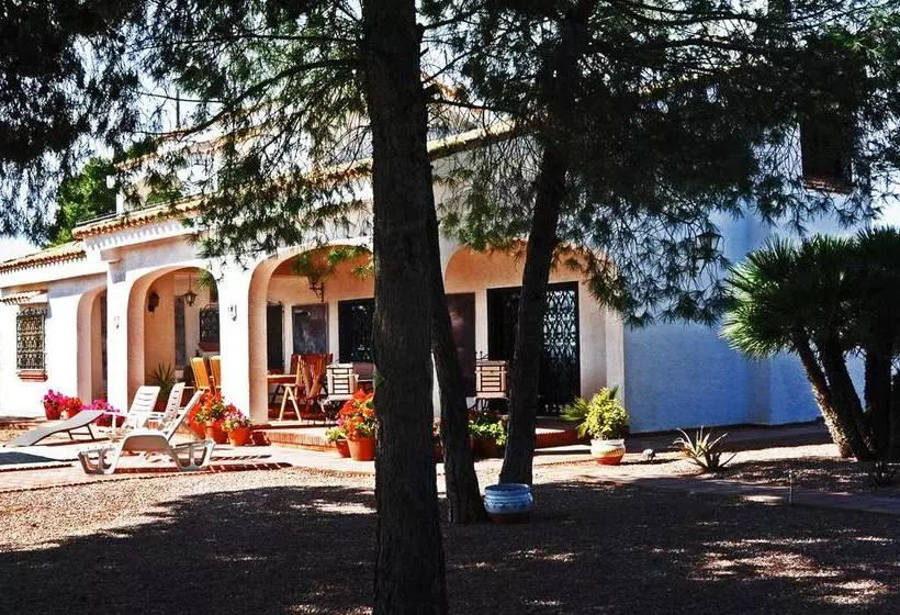 Casa Del Artista Bed & Breakfast