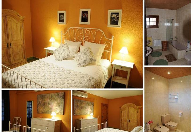 Casa Del Artista Bed & Breakfast