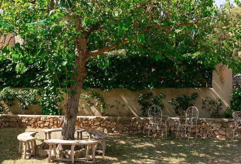 בית מלון כפרי Cal Secretari Vell   Turismo De Interior