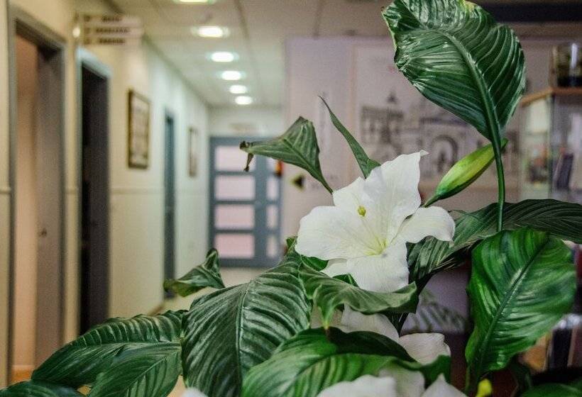 هتل Ciudad De Alcala