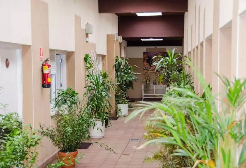 هتل Ciudad De Alcala