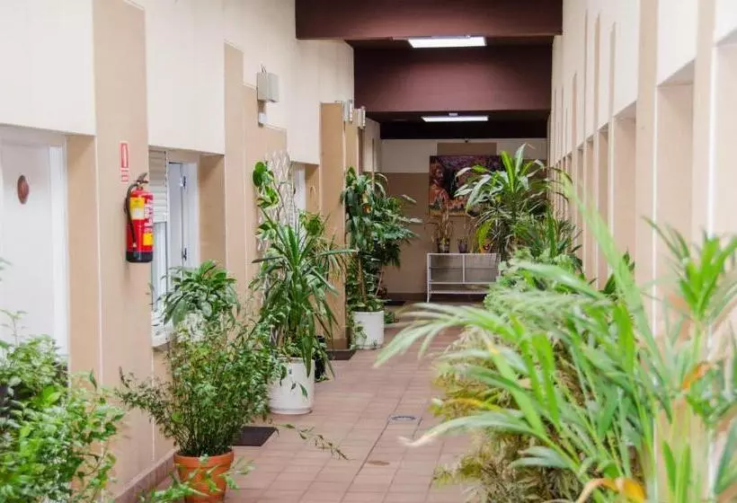 هتل Ciudad De Alcala