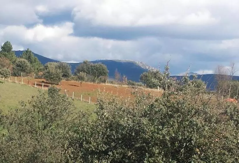 ホテル Apartamentos Rio Almar