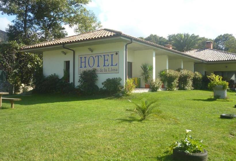 בית מלון כפרי Los Jardines De Lallosa