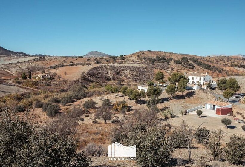 Отель Los Sibileys