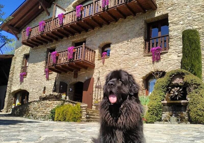 Отель Mas d'en Roqueta