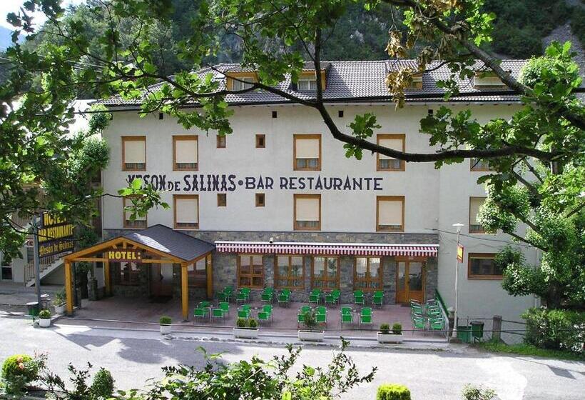 Отель Mesón De Salinas