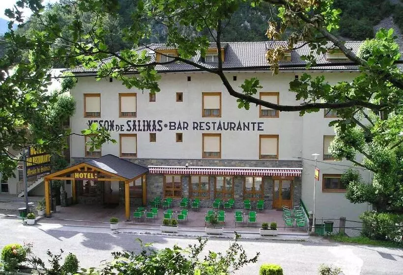 Hotel Mesón De Salinas