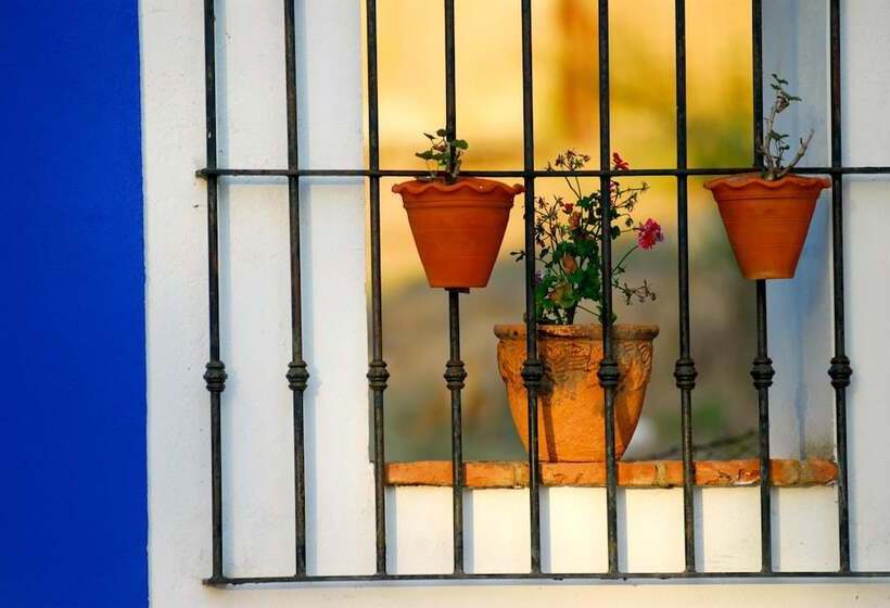 Отель Rural Terrablanca