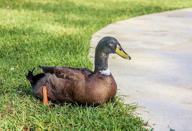 Отель Rural Terrablanca